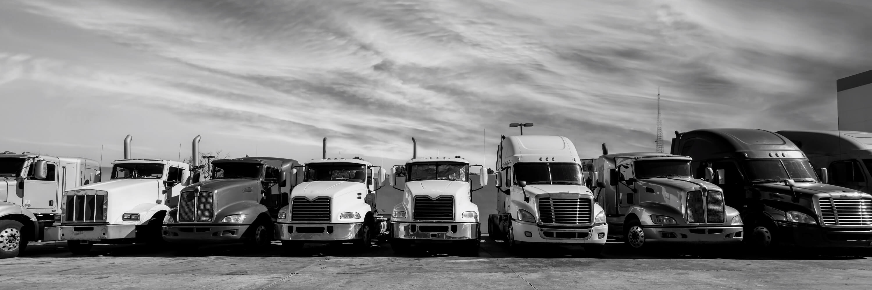 Lineup of Kenworth, and Peterbilt Semi Trucks
